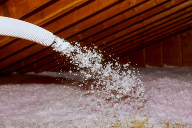 Best Geographic-Specific Insulation Services in Hatch, NM