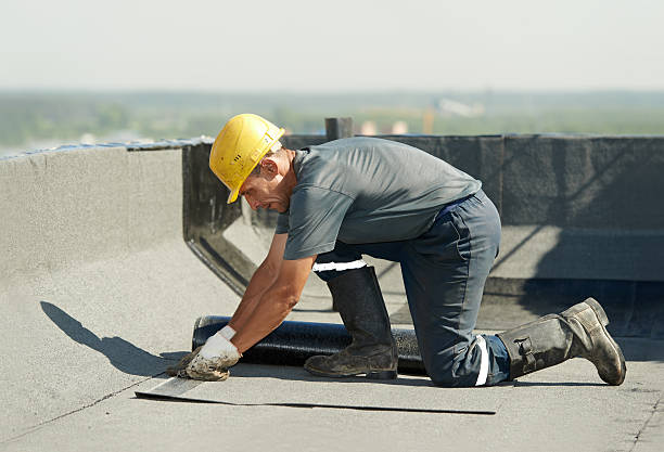 Best Specialized Insulation Services in Hatch, NM