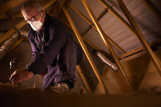 Types of Insulation We Offer in Hatch, NM